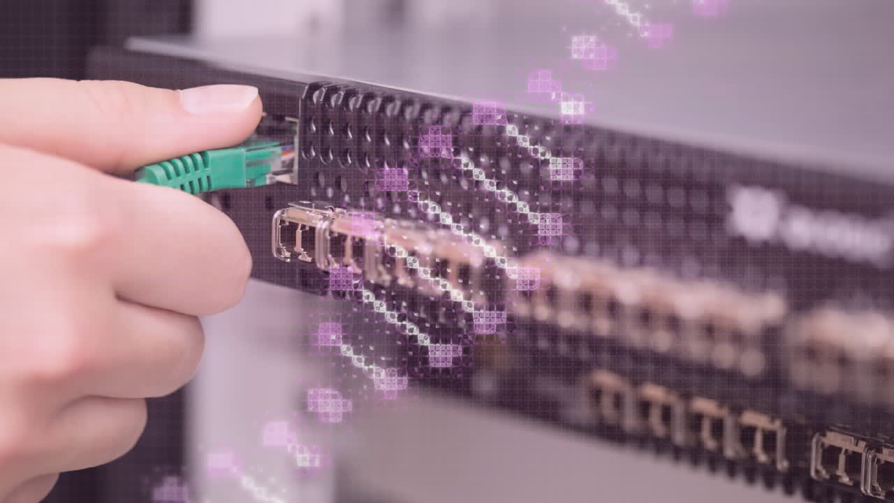 서버  ⁇ 에 있는 백인 여성의 손 위에 있는 dna  ⁇ 의 애니메이션