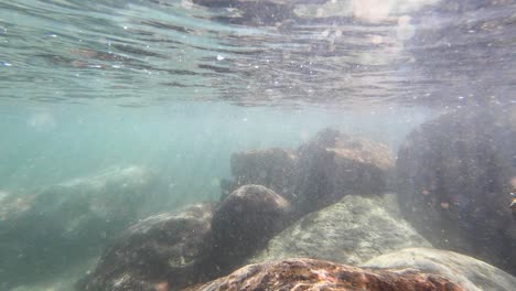 Pequeña-Piscina-De-Marea-A-Lo-Largo-De-La-Costa