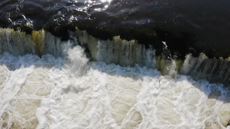 los peces intentan despejar el rápido saltando sobre él