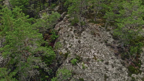 Aerial-shot-of-green-forest-on-stony-hill-in-Sweden,-backward-motion
