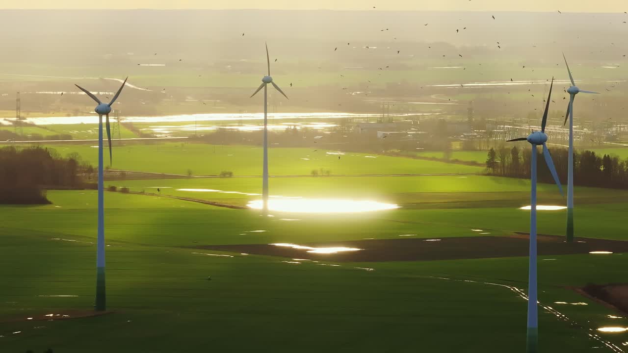 Dawn light highlighting a wind farm as birds create motion in a serene landscape