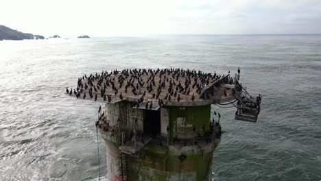 Vista-Aérea-Alrededor-Del-Faro-De-Rocas-De-La-Milla-Cubierta-De-Aves,-En-San-Francisco,-Ee.uu.---órbita,-Disparo-De-Drones