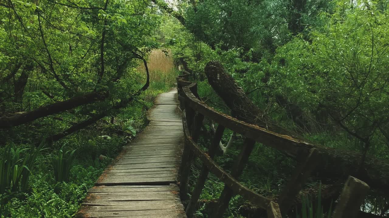 riprese aeree di inoltro a quota inferiore di una parte di un sentiero naturalistico e del suo ambiente più vicino