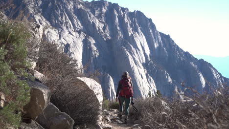 back of lonely female photographer with backpack in nature, mountain hike on sunny morning