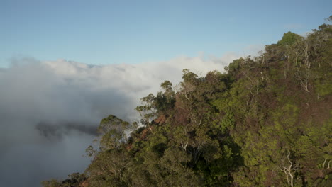 Vista-Aérea-Que-Revela-La-Costa-De-Napali-Cubierta-De-Nubes,-Kauai-Hawaii