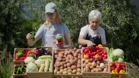 Abuela-Y-Nieta-Venden-Verduras-En-El-Mercado-De-Agricultores,-Colocan-Verduras-En-El-Mostrador.-Concepto-De-Empresa-Familiar