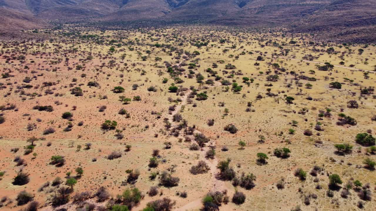 Aerial view of African savannah with scattered trees and grasses on arid red kalahari sand and rocky mountains, Northern Cape, South Africa