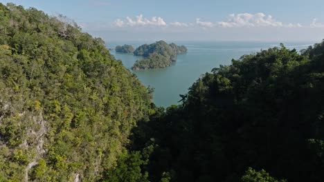 Drone-flying-over-lush-forest-of-Los-Haitises-National-Park-with-seascape-in-background,-Dominican-Republic