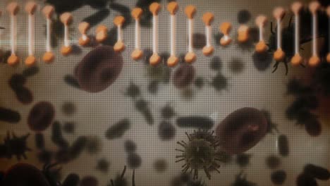 animación de una hebra de adn de doble hélice que gira con la propagación de covid-19.