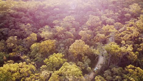 TRUCKS-DRIVING-THROUGH-THE-FOREST-PAN-UPTO-SUNSET-DRONE-SHOT