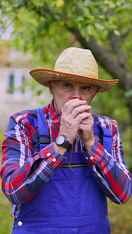 male gardener in hat holding a fresh ripe apple outdoors. farmer sniffs aromatic apple in the garden in autumn. organic food.. vertical video