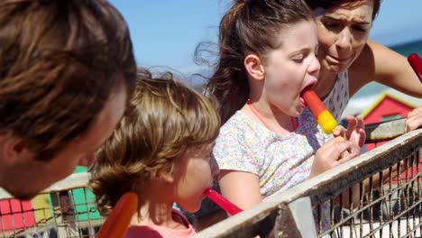 Familie-Isst-Eis-Am-Strand