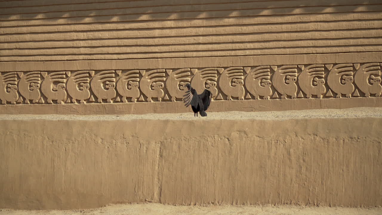 pájaros negros en edificios antiguos en trujilo, la libertad, perú