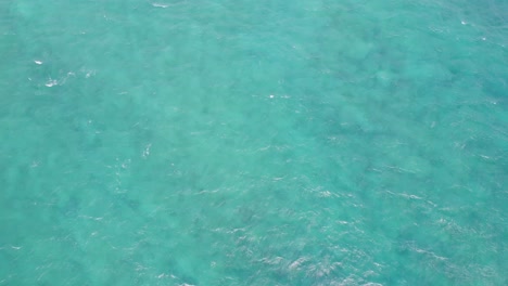 drone footage of the crystal clear water of the pacific ocean near honolulu hawaii tilting up to reveal the island of oahu hawaii near diamond head