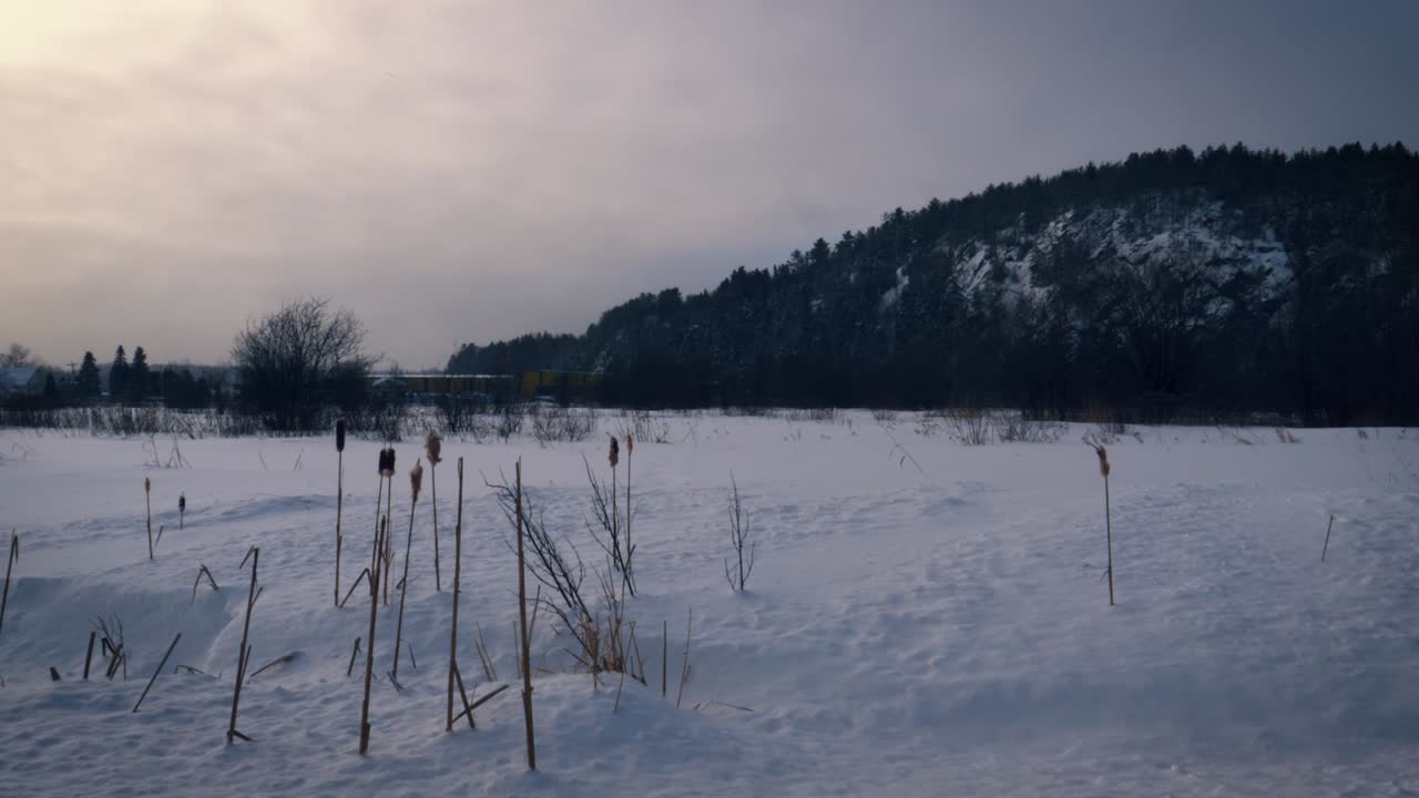A snow laden land with winter shrubs and snow mountains in Saguenay, Chicoutimi, Quebec, Canada. Panning right.