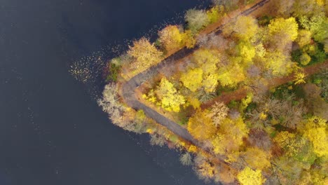 Aerial-view-of-beautiful-smooth-green-waters-of-a-lake-on-a-sunny-autumn-day