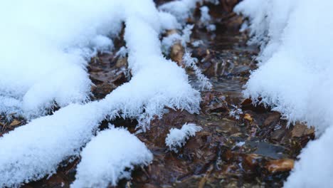 frozen stream with snow. flow of melt water