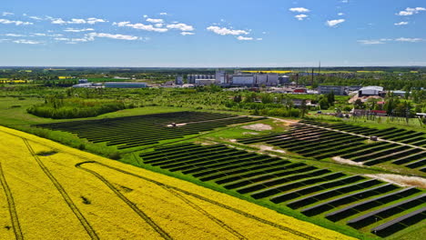 solar farm and canola rapeseed fields with yellow flowers in summer. - aerial shot