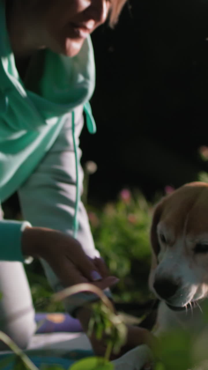Lively scene with woman and dog bond, Woman shares treat with energetic beagle on picnic blanket, Joyful moment of woman giving treat to playful beagle during outdoor picnic activity