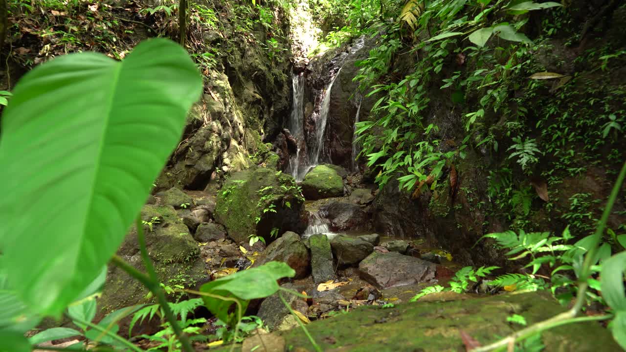 una cascada desemboca en un arroyo en una selva tropical costarricense