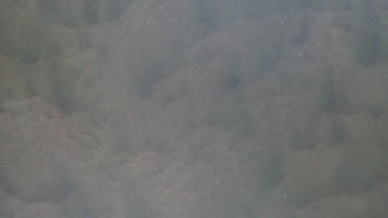 Dark Gray Sand or Sedimentary Bottom Texture