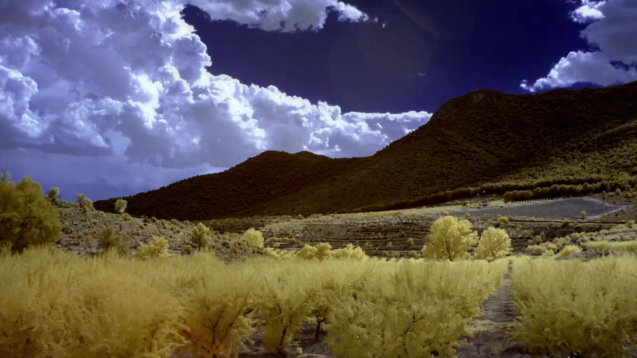 Timelapse a infrarossi di nuvole che si muovono su colline e alberi gialli