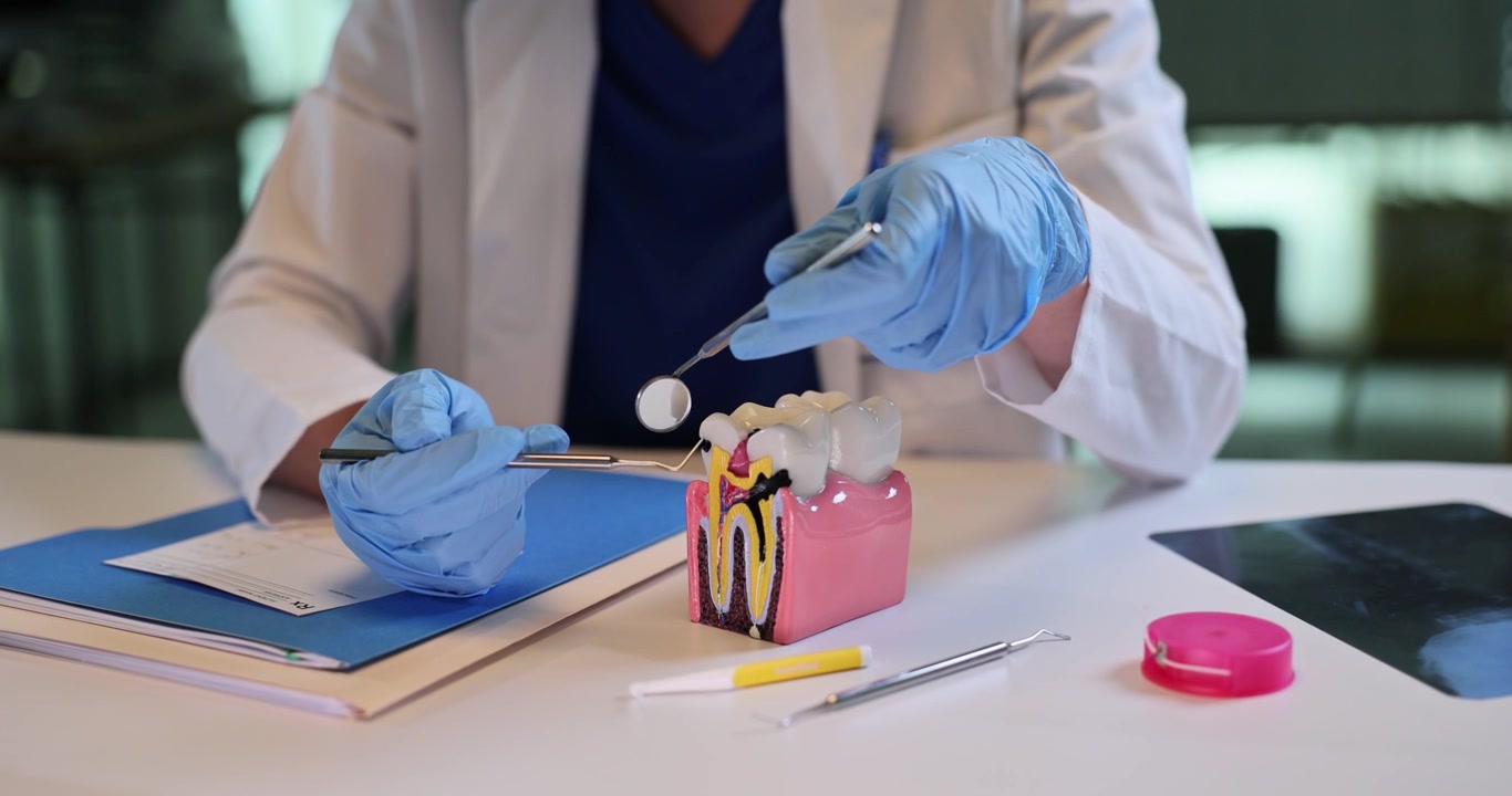 Dentist examines tooth with caries on model with mirror and probe