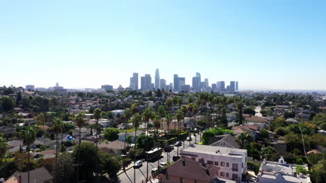 beautiful drone shot flys up to show los angeles, california's echo park neighborhood, covered in palm trees with city skyline in background