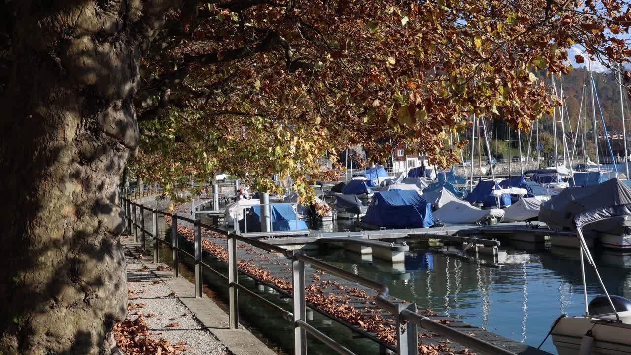 Boats in the marina on an autumn day, establisher