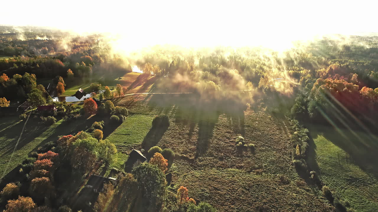 초원이 있는 목가적인 시골에서 공중 드론 촬영