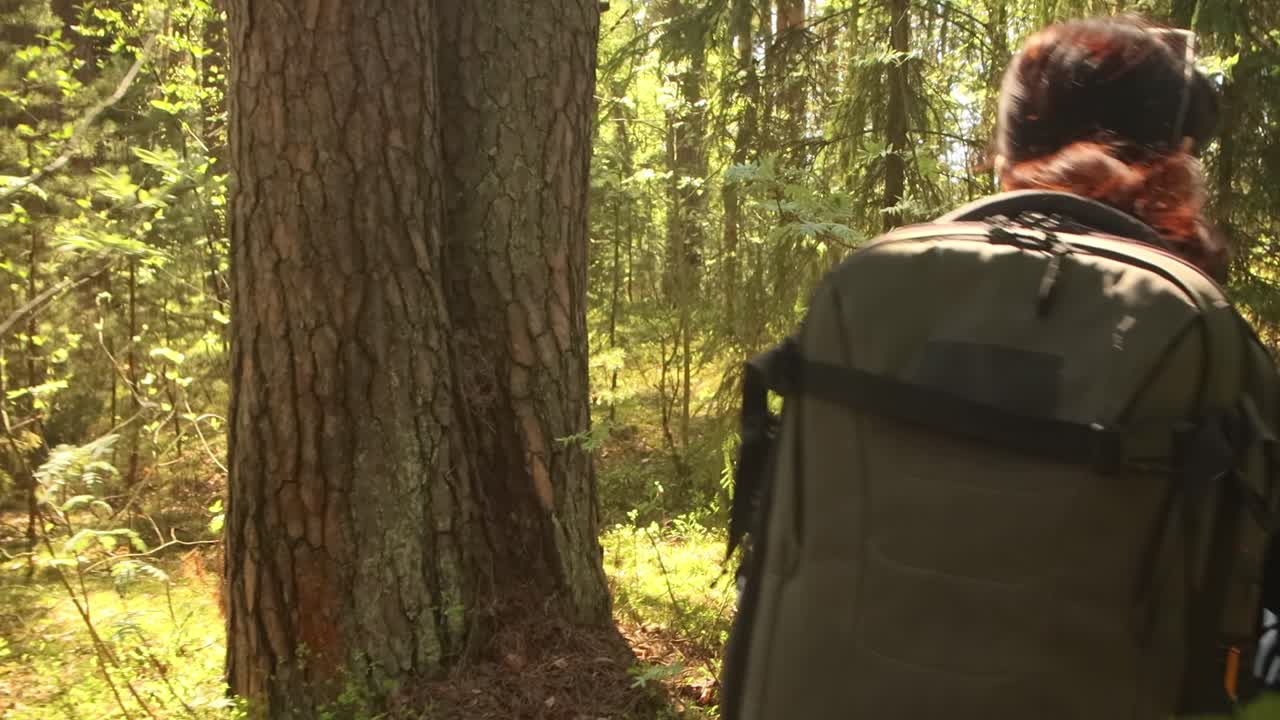 하이킹 여자 는 봄 의 녹색 숲 에서 하이킹 배 ⁇  을 들고  ⁇ 다