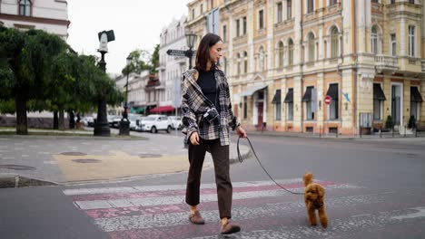 una mujer camina con su perro en una correa a través de un cruce peatonal en la ciudad