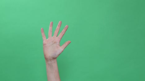 hands doing some symbol figures on green chroma key
