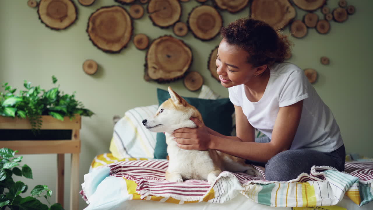 Meisje speelt met een Shiba Inu hond