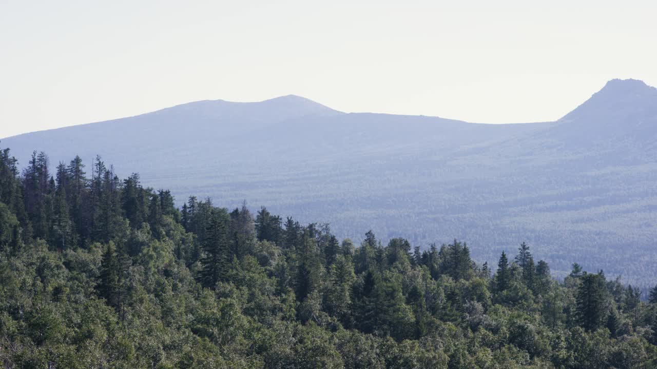 산과 숲의 풍경