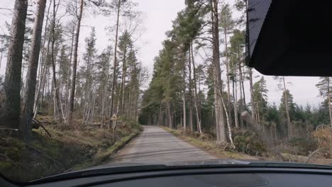tranquil drive through a lush forest on a cloudy day, filmed through the windshield. calming ambiance of the forest, with towering trees.