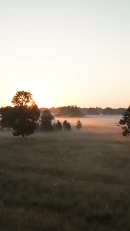 sunrise over a misty meadow