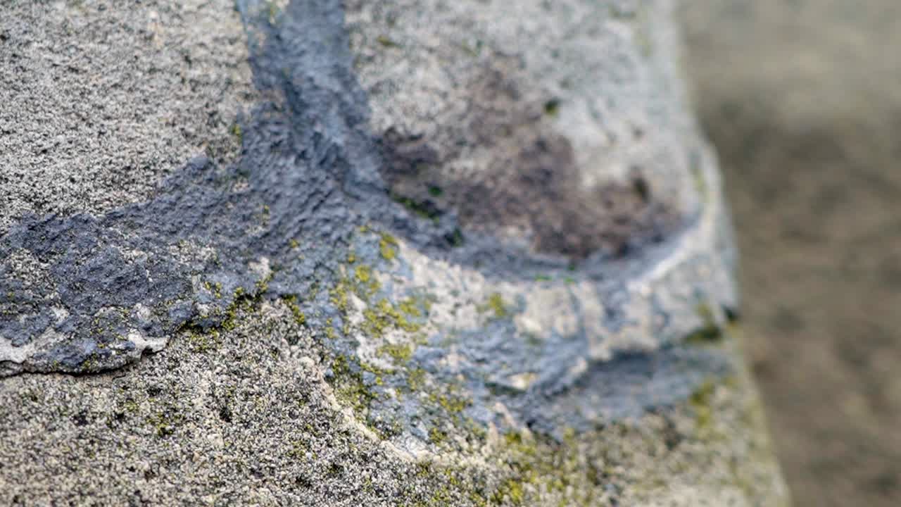 Process of repairing the stone surface of the lion