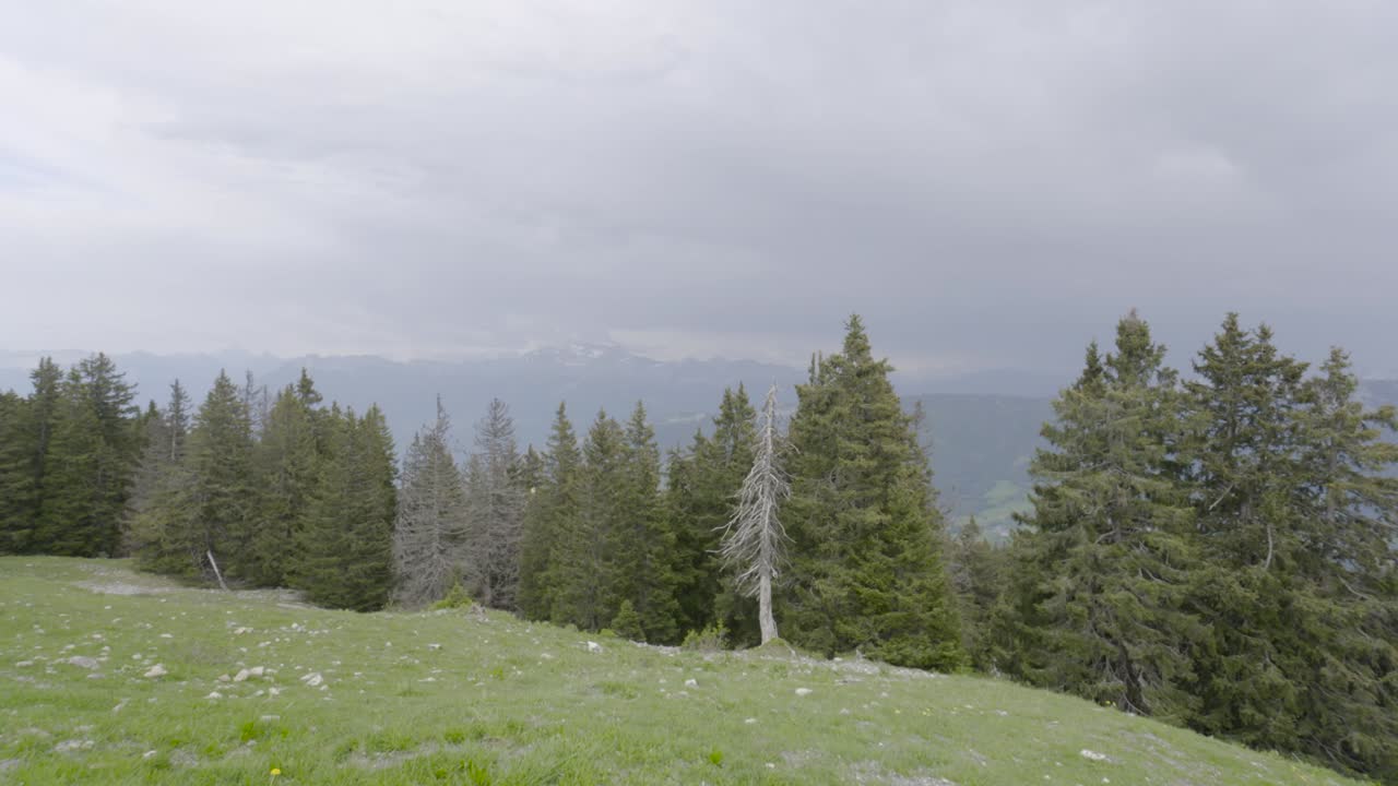 paisaje montañoso con pinos y cielo nublado