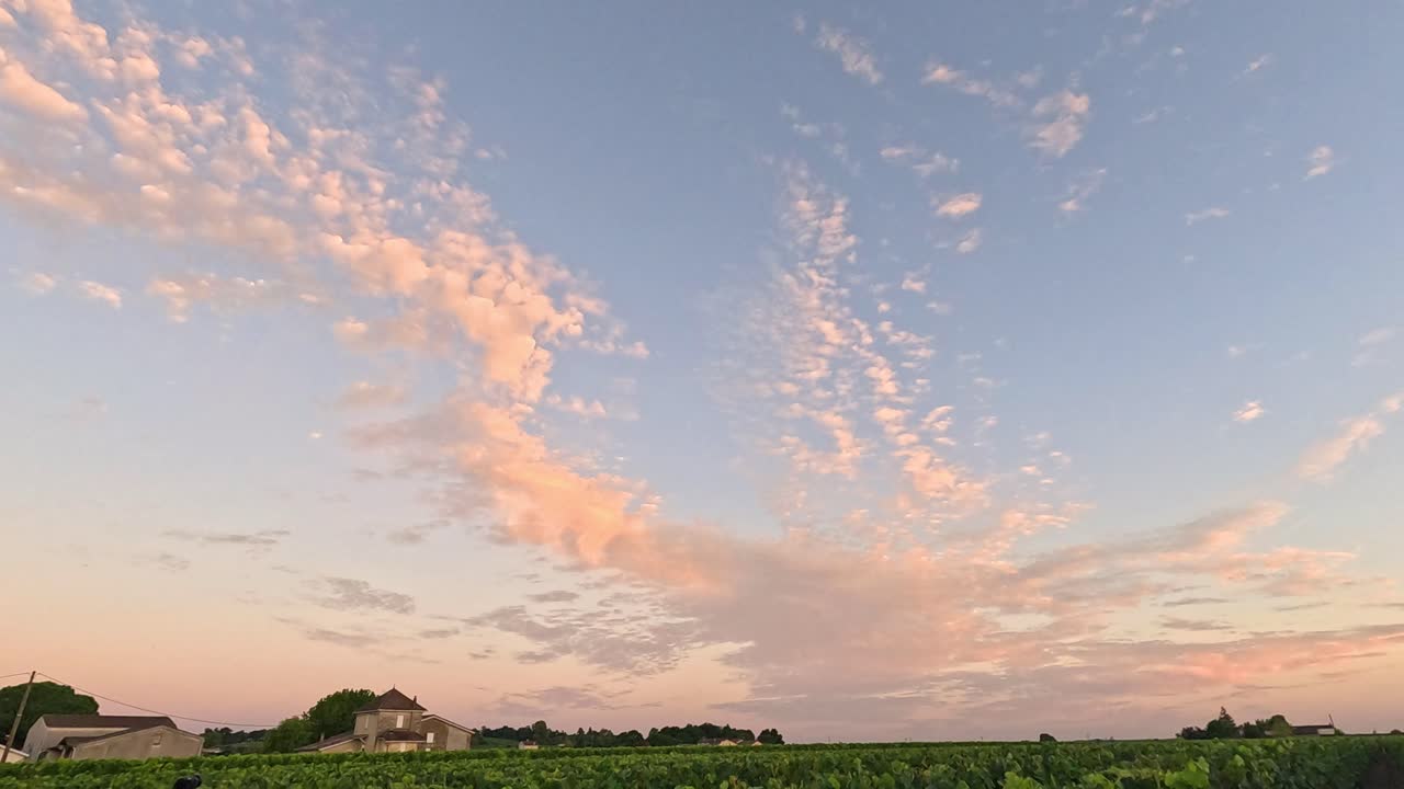 다채로운 해가 지는 하늘 아래의 포도