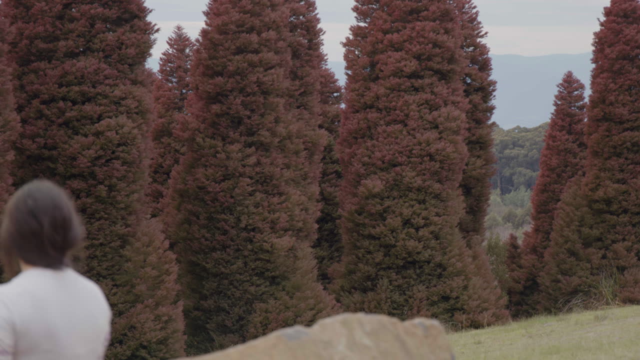 A young woman takes a moment to appreciate the scenic view in a park