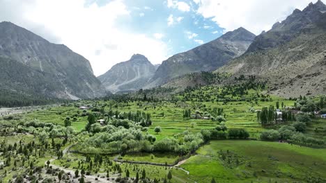 green basho valley floor in skardu