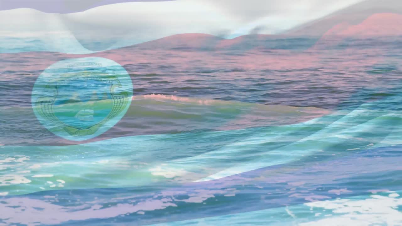 바다의 파도에 대한 코스타리카의 파동의 디지털 구성