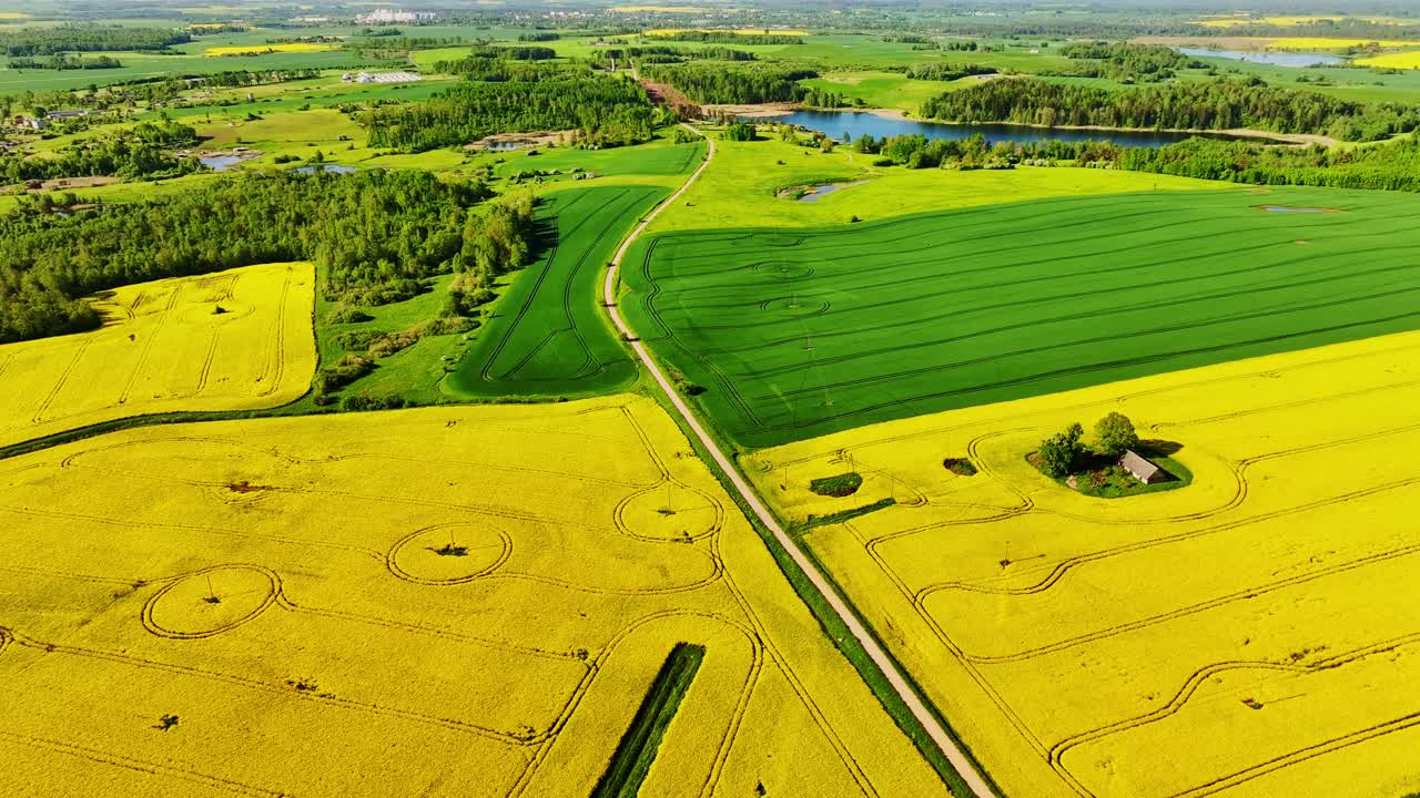 Vibrant aerial shot of rapeseed, rural roads, shimmering water bodies, Latvia