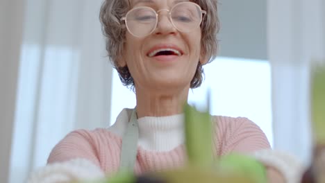 senior woman planting hyacinths