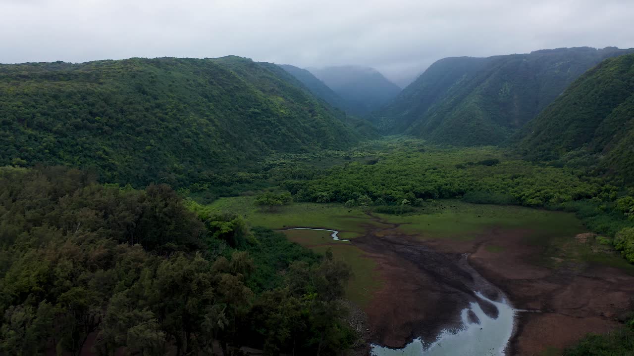 A lush valley of dense green slopes descends toward a winding stream that flows gently into the ocean, framed by misty mountains and dark forest in this remote coastal wilderness scene.