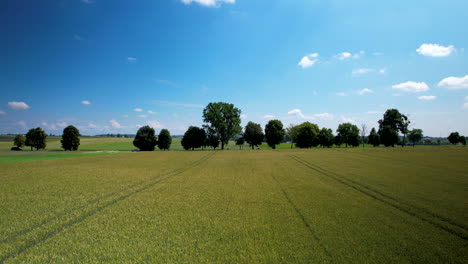 Toma-Aérea-De-Un-Hermoso-Campo-Verde-En-El-Campo-Rural,-Polonia-Con-Vistas-A-La-Hermosa-Naturaleza-Con-árboles-Y-Cielo-Azul-En-Un-Día-Soleado