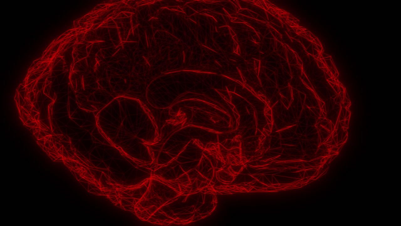 Hologramhjerne dannes med innvendige detaljer med abstrakte former som kommer sammen for å lage et fullt formet menneskelig organ. Digitalt medieklipp