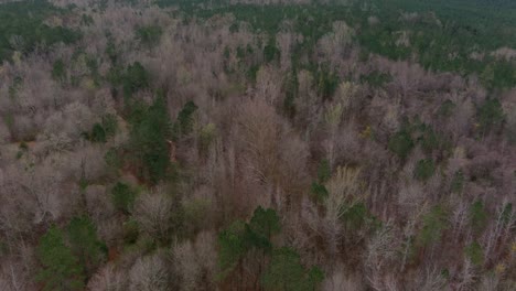 aerial of wooded forest area in eatonton, georgia