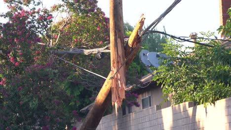 wooden telephone pole snapped in half